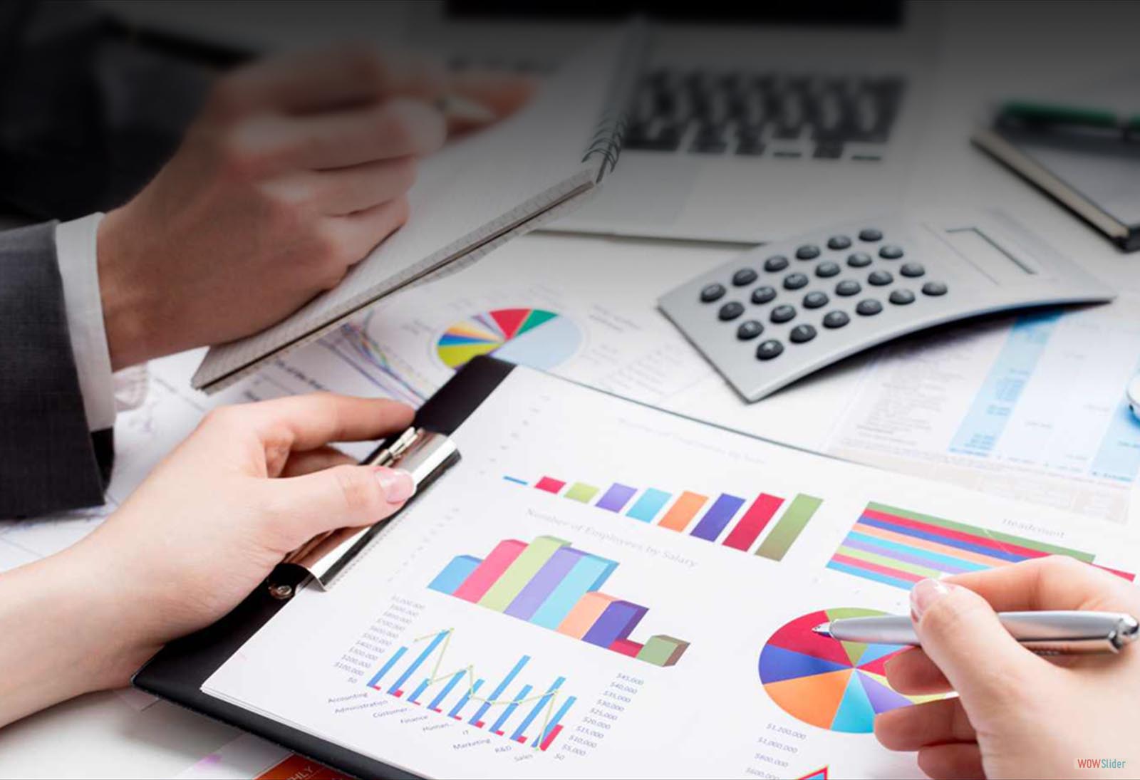 قطاع الإستشارات المحاسبية