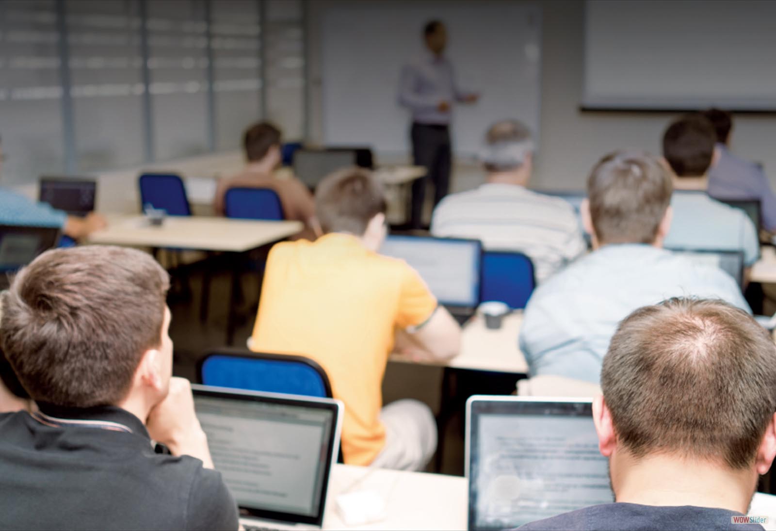 قطاع التدريب والتأهيل